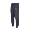 Concepts Sport Minnesota Twins Avi Jogger Pants