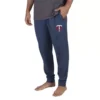 Concepts Sport Minnesota Twins Mainstream Joggers