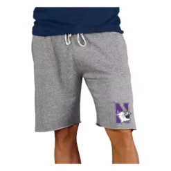 Concepts Sport Northwestern Wildcats Mainstream Shorts