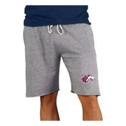 Concepts Sport Southern Illinois Salukis Mainstream Shorts